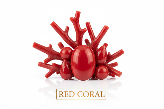 RED CORAL ON WHITE BACKGROUND NAME HIGHLITED UNDER IT